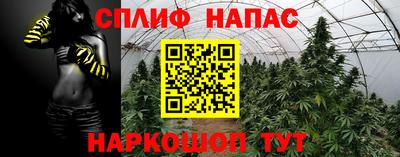индика Гусиноозёрск