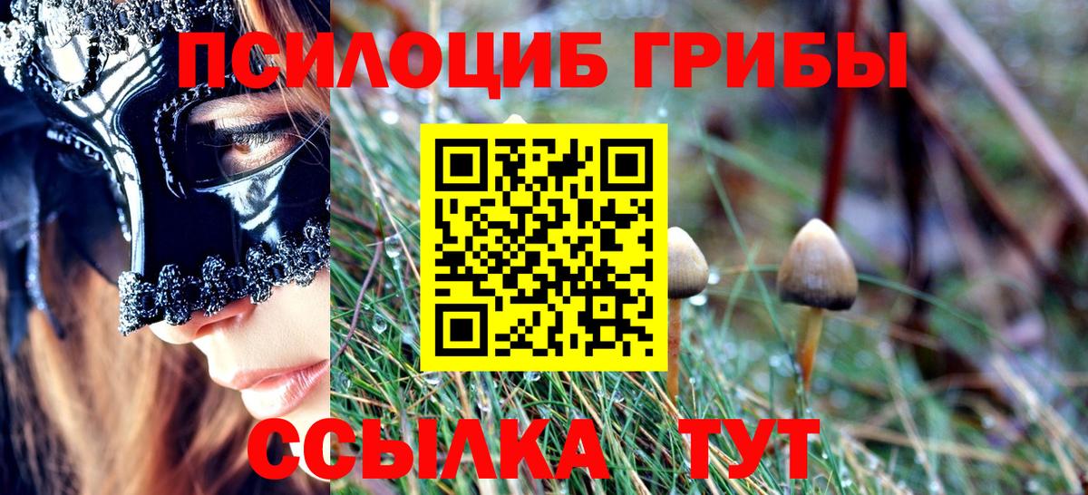 Лабытнанги  Галлюциногенные грибы Cubensis  Вход с VPN 